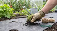 Weed Mat 100 GSM – 1x100 Mtr Roll | Anti Weed Ground Cover view 1