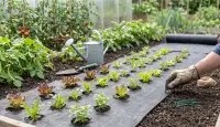 Weed Mat 100 GSM – 1x100 Mtr Roll | Anti Weed Ground Cover view 2