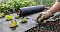 Weed Mat 100 GSM – 1x100 Mtr Roll | Anti Weed Ground Cover view 3